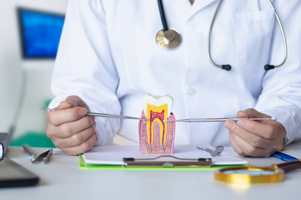 Best Walk-In Emergency Dental Services in Quail Ridge, FL